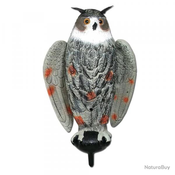 Appelant grand duc à ailes battantes