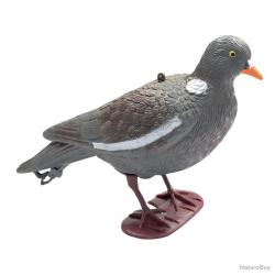 appelant pigeon au posé