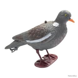 appelant pigeon au posé