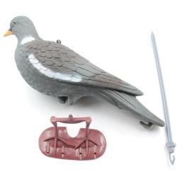 Appelant Pigeon au posé à l'unité