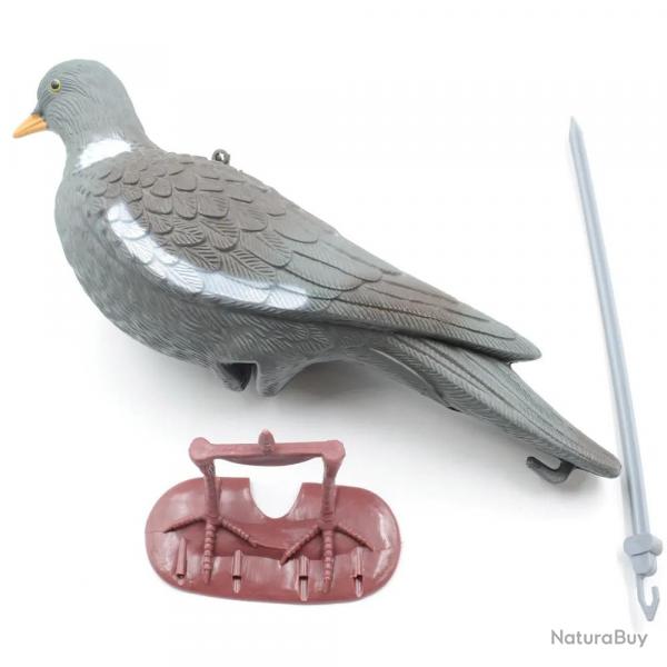 Appelant Pigeon au pos  l'unit