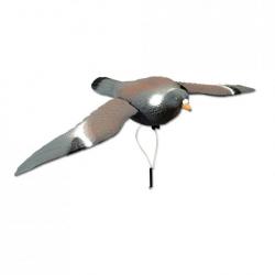 Appelant pigeon volant (ailes battantes)