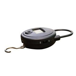Peson électronique 25 KG graduation en 10g