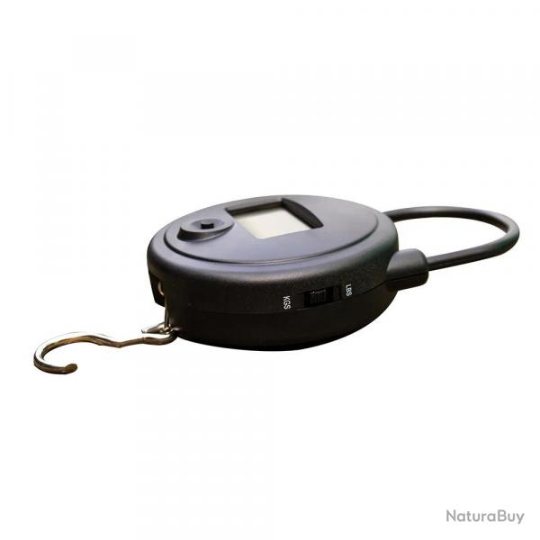 Peson électronique 25 KG graduation en 10g