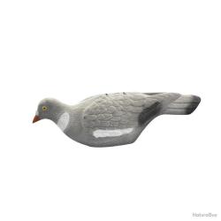 Appelant pigeon floqué, coquille