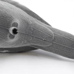 Appelant pigeon floqué coquille