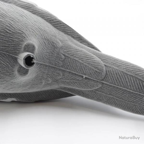 Appelant pigeon floqu coquille