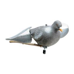 Appelant pigeon floqué à ailes tournantes