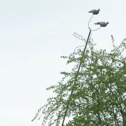 Mât à pigeons en aluminium résistant et ultra léger, noir 6 m