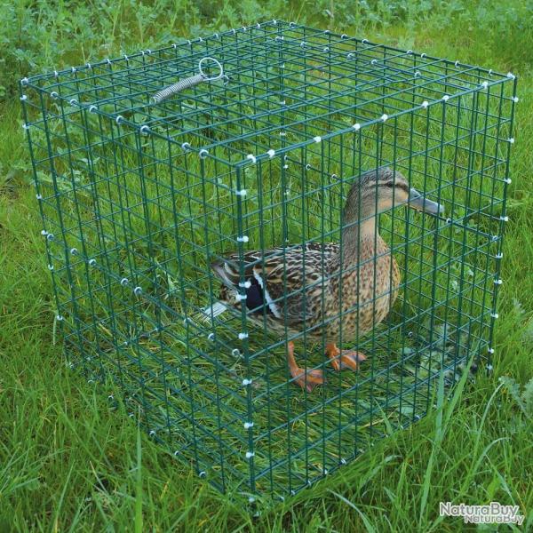 Cage pour chanteuse pliable 30x30x30cm à l'unité