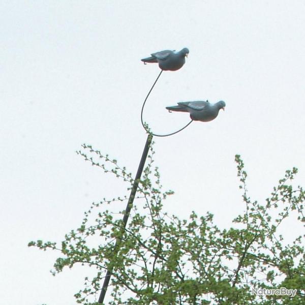 Rallonge supplementaire pour Mt  pigeons