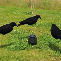 Manège à Corbeaux + 3 blettes de corbeaux floqués