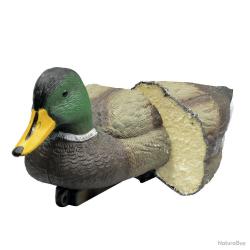Colvert moussé male