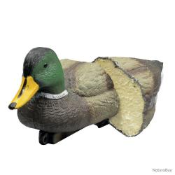 Colvert moussé male