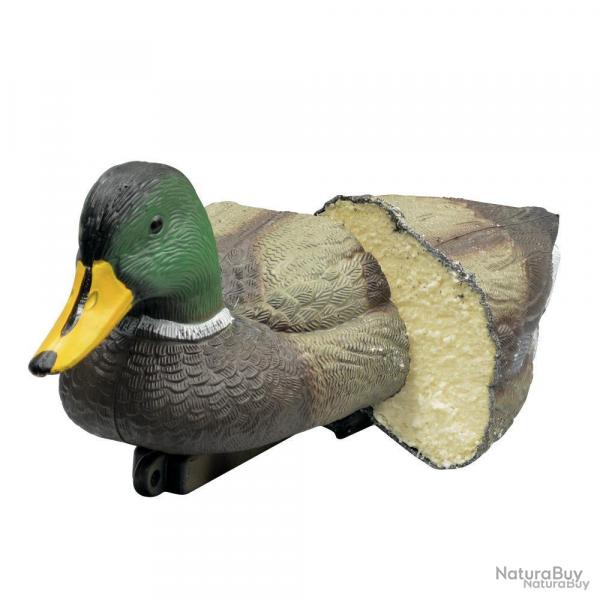 Colvert mouss male