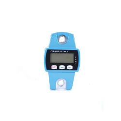 Peson électronique 250 kg boitier métal graduation en 50g