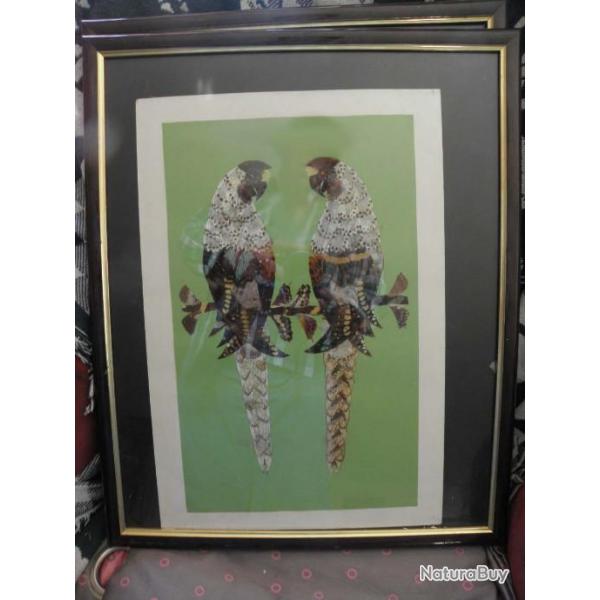grand image fait en Ailes de papillons Perroquets encadree 53.5 x 43 cm