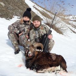 Chasse du Mouflon dans les Pyrénées