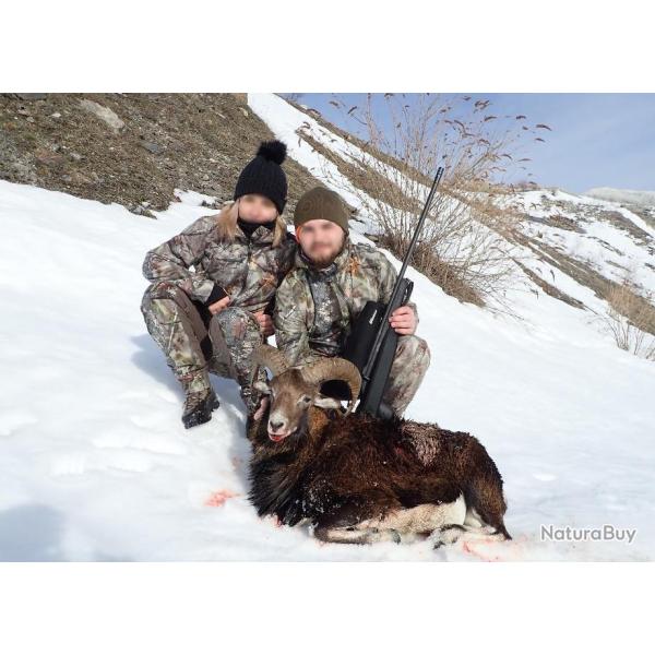 Chasse du Mouflon dans les Pyrnes