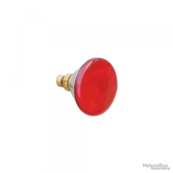 Ampoule PAR 175watts