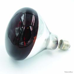 ampoule infrarouge 100 w