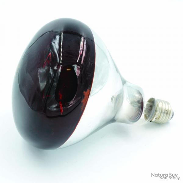 ampoule infrarouge 100 w