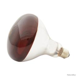 ampoule infrarouge 250 w