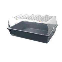 Bac de démarrage pour élevage poussins