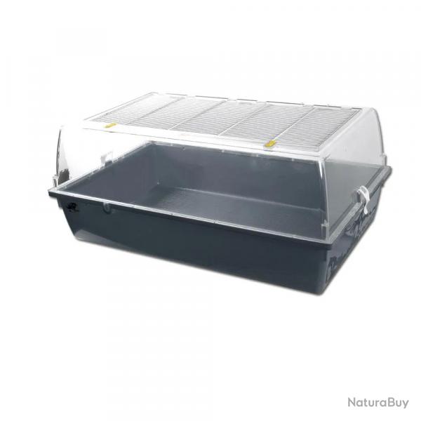 Bac de dmarrage pour levage poussins