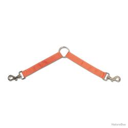 Doubleur chiens orange