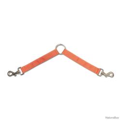Doubleur chiens orange