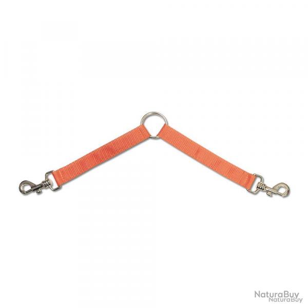 Doubleur chiens orange