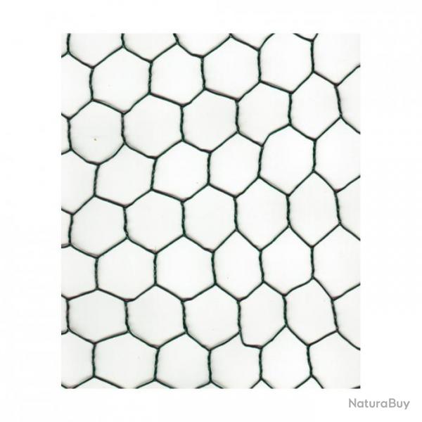Hexa Diam. 25 plasti vert ht 0,5 m   25 m