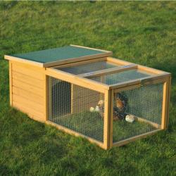 Cage  confortable  poules poussins avec Clapier de pâturage