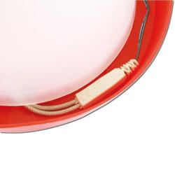 Câble chauffant antigel pour abreuvoir 10W