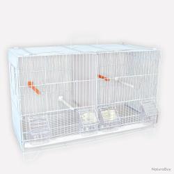 Cage d'élevage canaris
