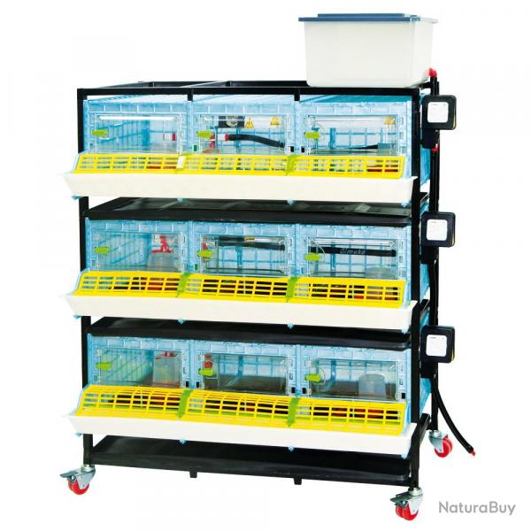Cage poussin 3 tages, hauteur intrieure 25cm