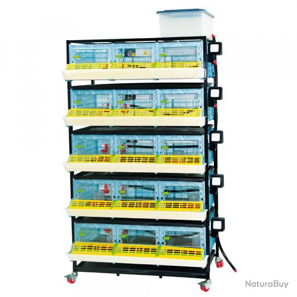 Cage poussin 5 tages, hauteur intrieure 25cm