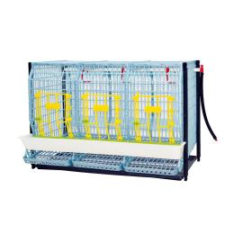 Cage reproducteurs/pondeuses étage supplementaire