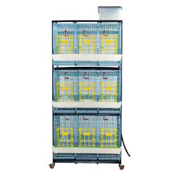 Cage reproducteurs/pondeuses 3 étages