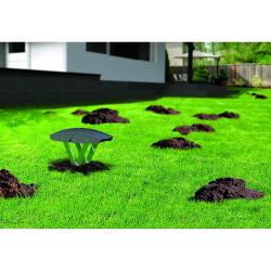 Piège à taupe Supercat® - Simple et très efficace
