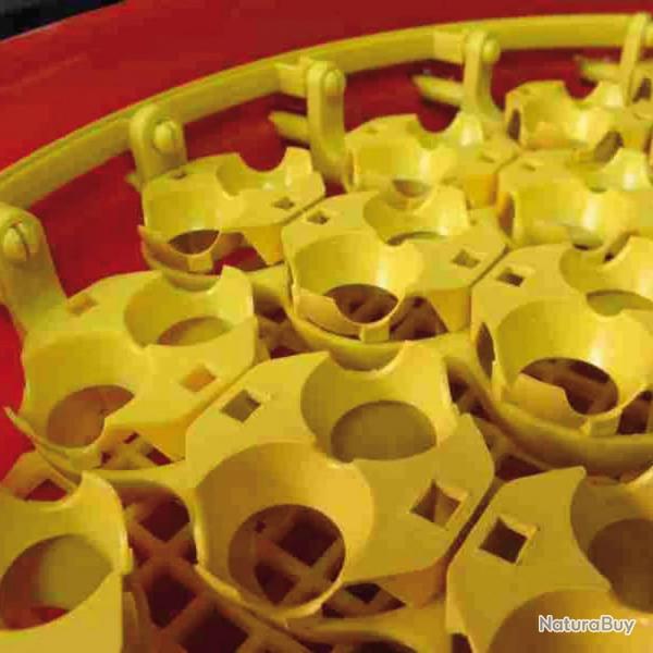 Adaptateurs pour oeufs de cailles