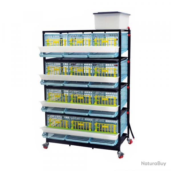 Cage cailles pondeuses 3 compartiments 4 tages - CIMUKA