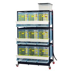Cage d'élevage perdrix 3 étages