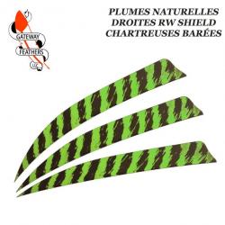 GATEWAY FEATHERS Plumes naturelles barrées RW Shield 5" pouces Barrée Chartreuse