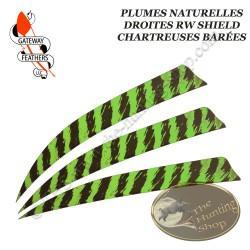 GATEWAY FEATHERS Plumes naturelles barrées RW Shield 5" pouces Barrée Chartreuse