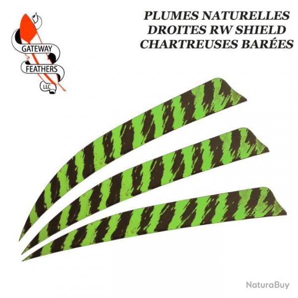 GATEWAY FEATHERS Plumes naturelles barres RW Shield 5" pouces Barre Chartreuse