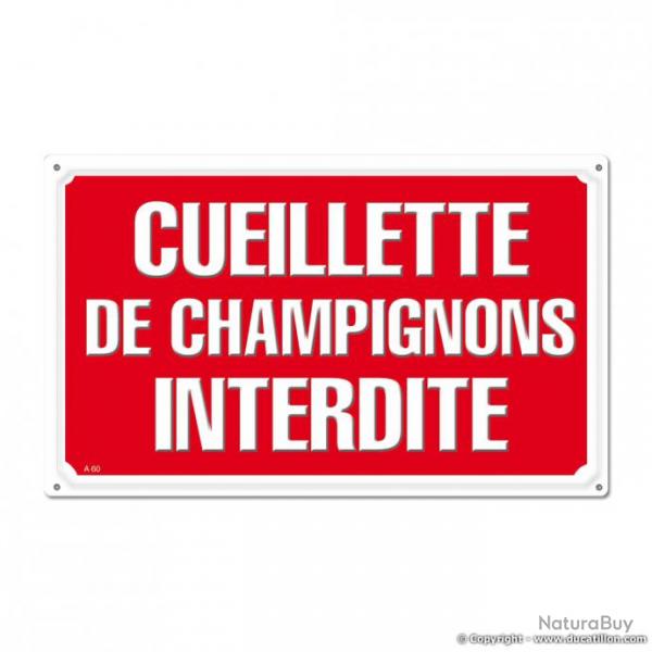 CUEILLETTE DE CHAMPIGNONS INTERDITE, Akilux