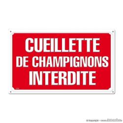 CUEILLETTE DE CHAMPIGNONS INTERDITE, aluminium