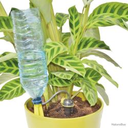 Kit arrosage goutte à goutte bouteille pour 4 plantes